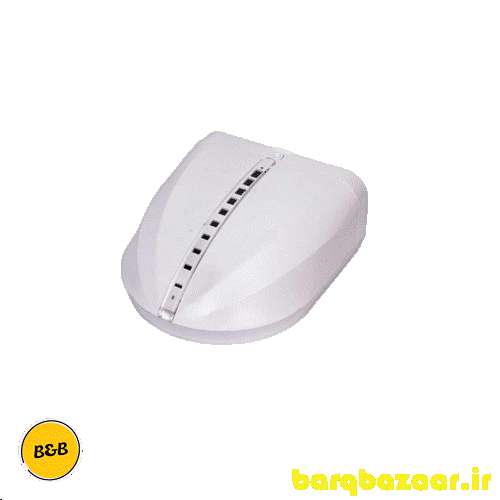 پایه دام اطلسی