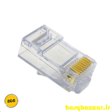 سوکت شبکه CAT برند AMP اصلی
